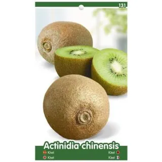 Compra KIWI TOMURI P1 - Macho en la tienda online Fito Agrícola