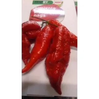 Compra PIMIENTO PICANTE NAGA EPS247 en la tienda online Fito Agrícola