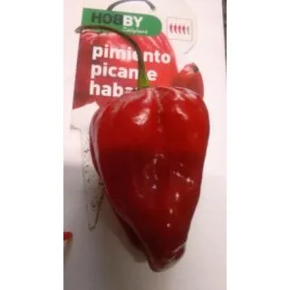 Compra PIMIENTO PICANTE HABANERO EPS150 en la tienda online Fito Agrícola