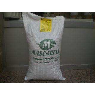 Compra HABA VALENCIANA Sel. Aitana (5 Kgr.) en la tienda online Fito Agrícola