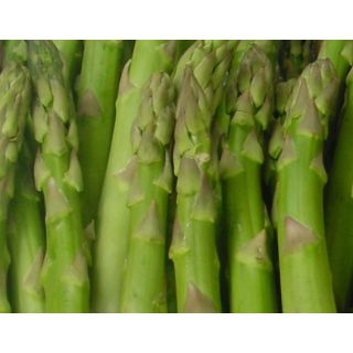 Compra ESPÁRRAGO F1 EPS104 en la tienda online Fito Agrícola