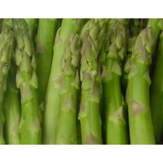 Compra ESPÁRRAGO F1 EPS104 en la tienda online Fito Agrícola