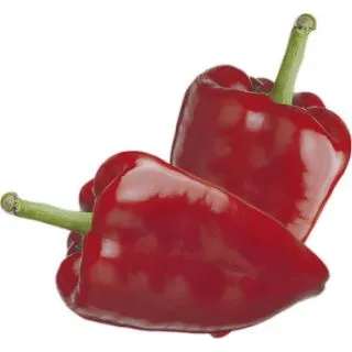 Compra PIMIENTO MORRÓN CORERA F-1 M11 en la tienda online Fito Agrícola