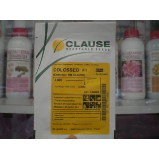 Compra ROMANESCO COLOSSEO F1 Peliculado (2.500 Semillas) en la tienda online Fito Agrícola