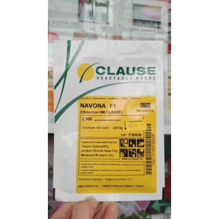 Compra ROMANESCO NAVONA F1 Peliculado (2.500 Semillas) en la tienda online Fito Agrícola