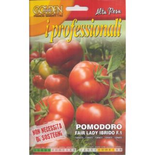 Compra TOMATE FAIR LADY F1 (25 Semillas) en la tienda online Fito Agrícola