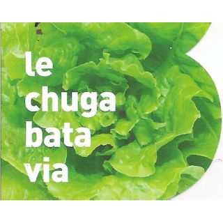 Compra LECHUGA BATAVIA ECOLÓGICA MSE6 en la tienda online Fito Agrícola