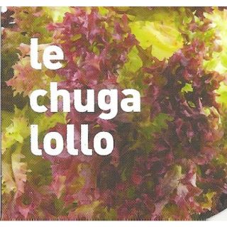 Compra LECHUGA LOLLO ECOLÓGICA MSE6 en la tienda online Fito Agrícola