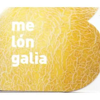 Compra MELÓN GALIA ECOLÓGICO MSE6 en la tienda online Fito Agrícola