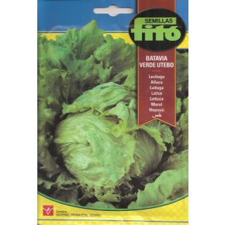 Compra LECHUGA BATAVIA VERDE UTEBO (7 gr.). en la tienda online Fito Agrícola