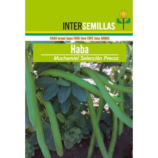 Compra HABA MUCHAMIEL PRECOZ Sel. Intersemillas (25 Kgr.) en la tienda online Fito Agrícola