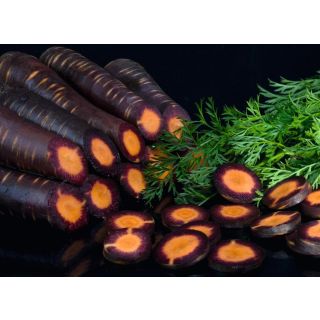 Compra ZANAHORIA PURPLE HAZE F1 Precisión (100.000 Semillas Cal. 1.6 - 1.8 mm.) en la tienda online Fito Agrícola