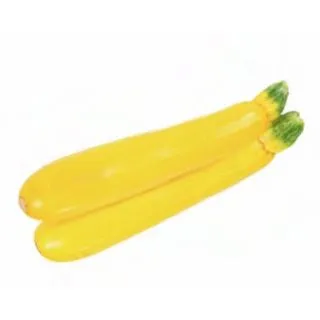 Compra CALABACÍN AMARILLO M11 en la tienda online Fito Agrícola