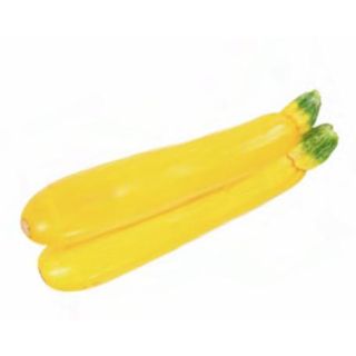Compra CALABACIN AMARILLO MS6 en la tienda online Fito Agrícola