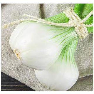 Compra CEBOLLA BABOSA MB50 en la tienda online Fito Agrícola