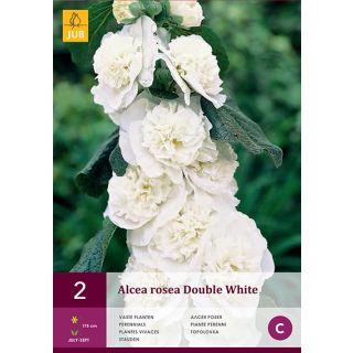 Compra ALCEA ROSEA WHITE en la tienda online Fito Agrícola