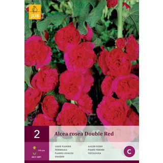 Compra ALCEA ROSEA RED en la tienda online Fito Agrícola