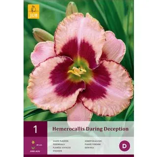 Compra HEMEROCALLIS DARING DECEPTION en la tienda online Fito Agrícola