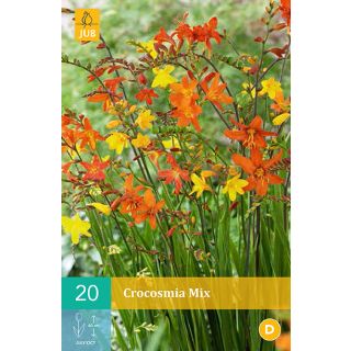 Compra CROCOSMIA MIX (100 Unid.). en la tienda online Fito Agrícola