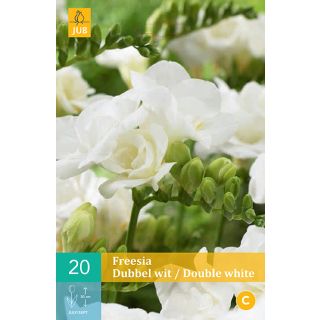 Compra FREESIA DOBLE WHITE en la tienda online Fito Agrícola