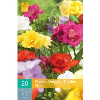 Compra FREESIA DOBLE MIX en la tienda online Fito Agrícola
