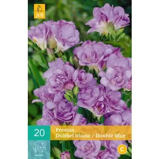 Compra FREESIA DOBLE BLUE en la tienda online Fito Agrícola