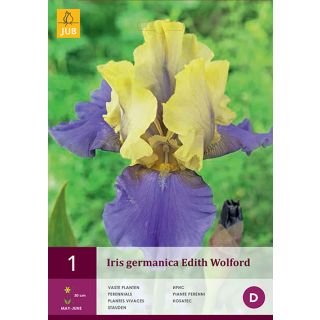 Compra IRIS GERMANICA EDITH WOLFORD en la tienda online Fito Agrícola