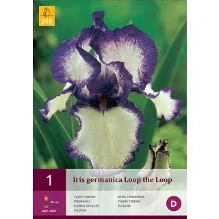 Compra IRIS GERMANICA LOOP THE LOOP en la tienda online Fito Agrícola