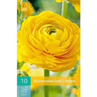 Compra RANÚNCULOS AMARILLOS en la tienda online Fito Agrícola