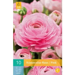 Compra RANÚNCULOS ROSA en la tienda online Fito Agrícola