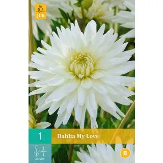 Compra DALIA MY LOVE en la tienda online Fito Agrícola