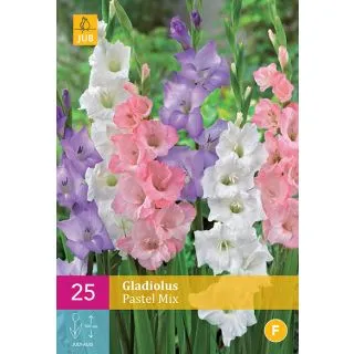 Compra GLADIOLO PASTEL MIX XXL en la tienda online Fito Agrícola