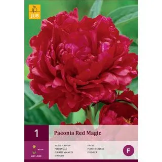 Compra PEONÍA RED MAGIC en la tienda online Fito Agrícola