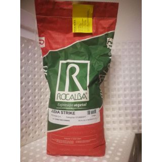 Compra JUDÍA STRIKE (5 Kgr.). en la tienda online Fito Agrícola
