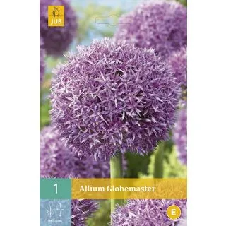 Compra ALLIUM GLOBEMASTER en la tienda online Fito Agrícola