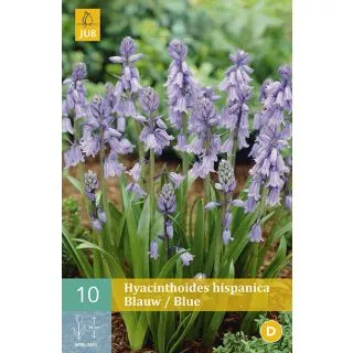 Compra HYACINTHOIDES HISPANICA BLUE en la tienda online Fito Agrícola