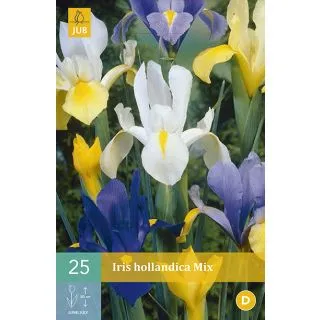 Compra IRIS HOLANDICA MIX en la tienda online Fito Agrícola
