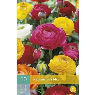 Compra RANÚNCULOS MIX en la tienda online Fito Agrícola