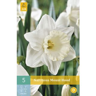 Compra NARCISOS MOUNT HOOD en la tienda online Fito Agrícola