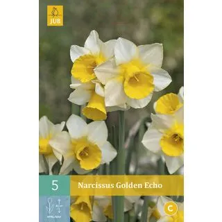 Compra NARCISOS GOLDEN ECHO en la tienda online Fito Agrícola