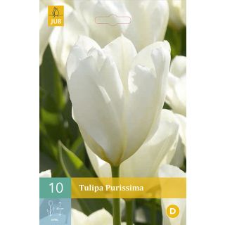 Compra TULIPÁN PURISSIMA en la tienda online Fito Agrícola