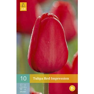 Compra TULIPÁN RED IMPRESSION en la tienda online Fito Agrícola