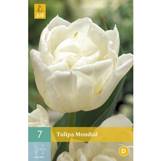 Compra TULIPÁN MONDIAL en la tienda online Fito Agrícola
