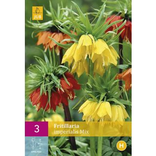 Compra FRITILLARIA IMPERIALIS MIX XXL en la tienda online Fito Agrícola