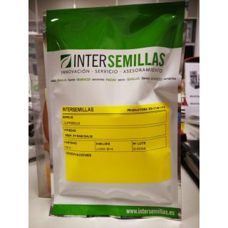 Compra CIPRÉS PIRAMIDAL (100 gr.). en la tienda online Fito Agrícola