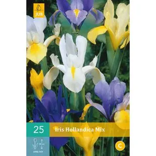 Compra IRIS HOLANDICA MIX en la tienda online Fito Agrícola