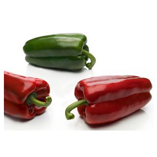 Compra PIMIENTO SORZANO F1 (1.000 Semillas) en la tienda online Fito Agrícola