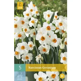 Compra NARCISOS GERANIUM en la tienda online Fito Agrícola