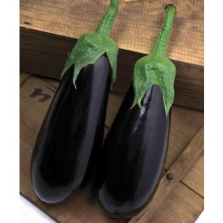 Compra BERENJENA CRISTAL F-1 EPS150 en la tienda online Fito Agrícola