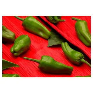 Compra PIMIENTO CELTA F-1 EPS150 en la tienda online Fito Agrícola